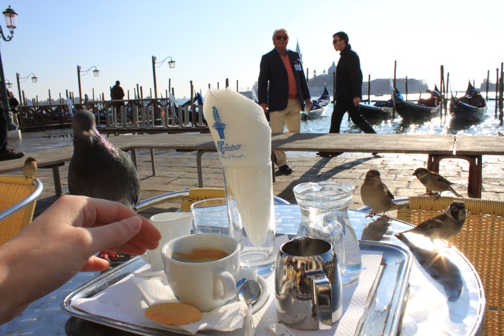 Venezia – Of Land &&nbsp;Water