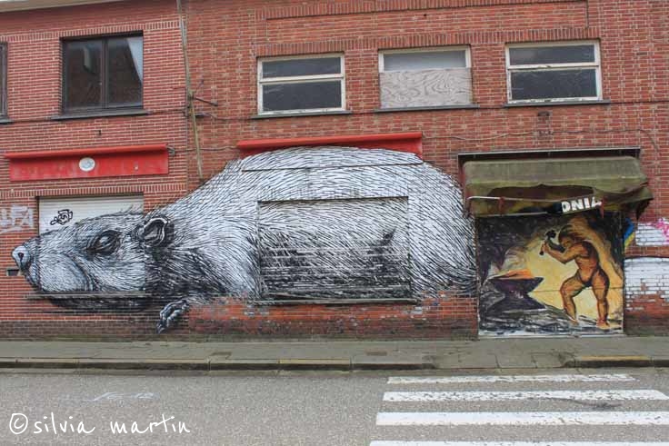 Doel_Belgium_11