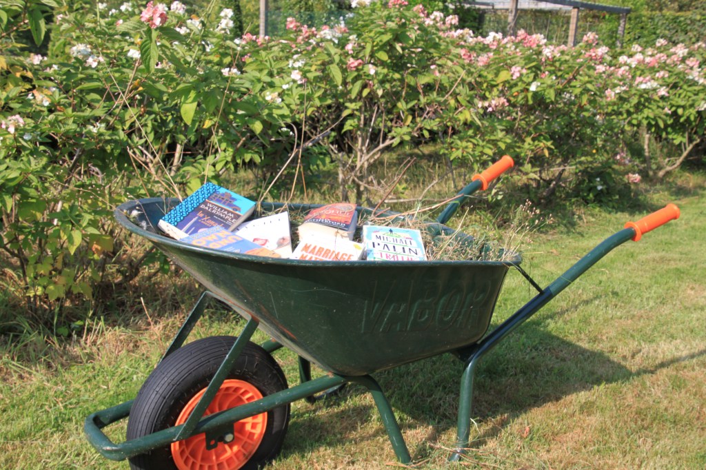 Reader in the grass – 5 books to&nbsp;try